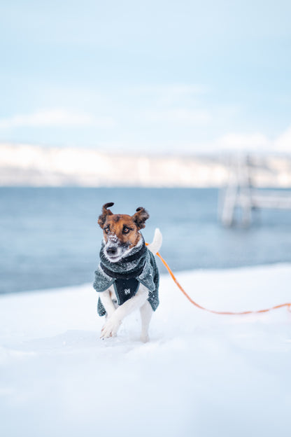 Wool dog jacket