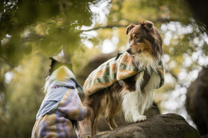 Borealis Pile Fleece jacket - Cloudbeam