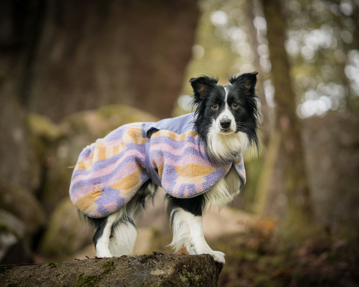 Borealis Pile Fleece jacket - Sunshower