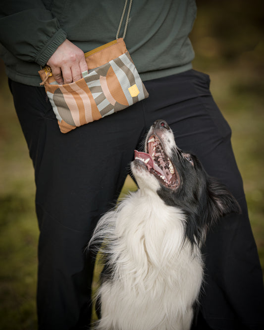 Cloudbeam Accessory Bag - Godbidstaske