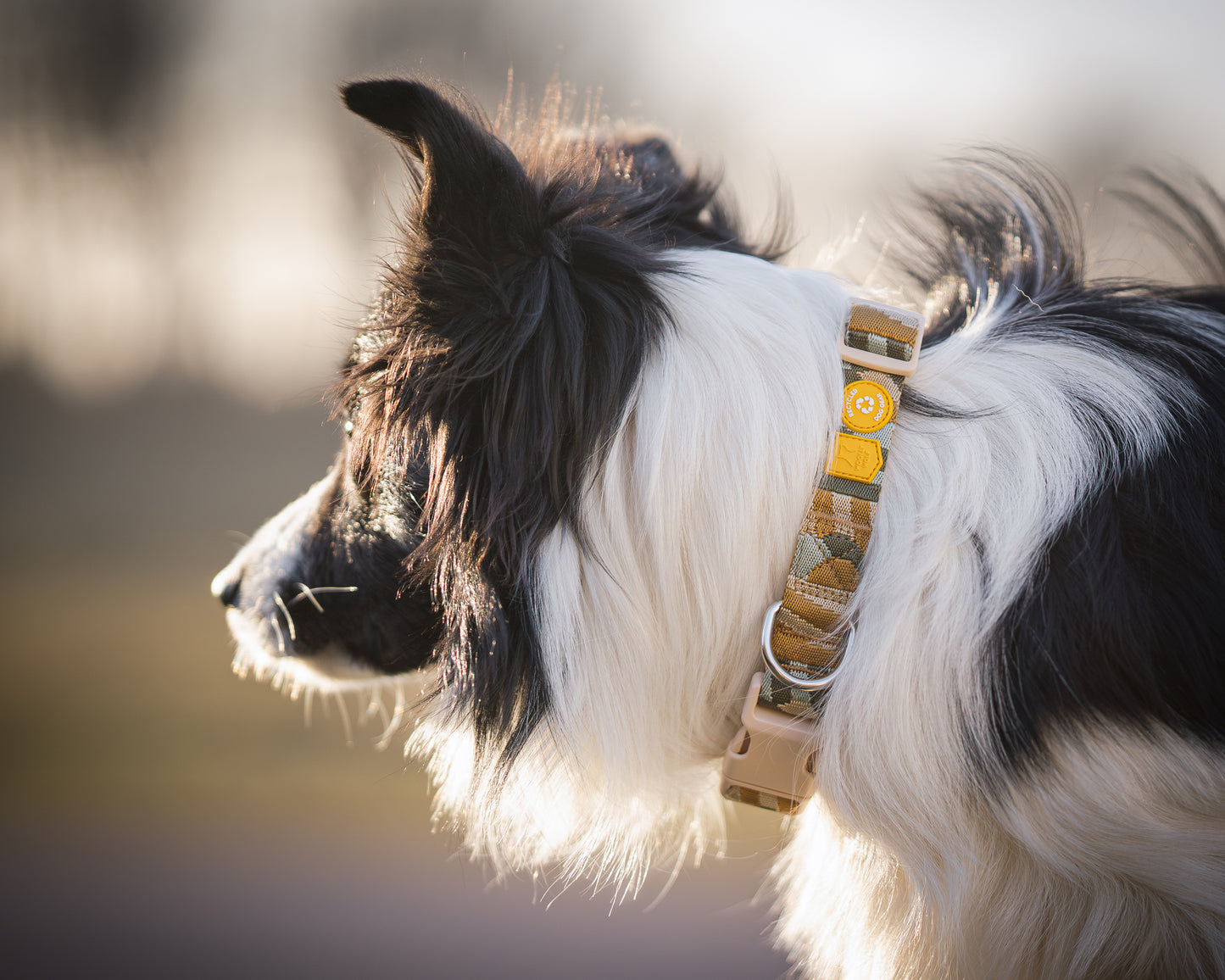 Cloudbeam Harness - Hundesele