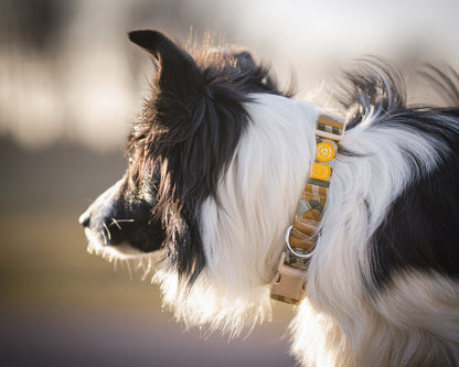 Cloudbeam Harness - Hundesele