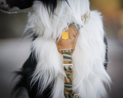 Hund med Cloudbeaam sele fra woollywolf set forfra