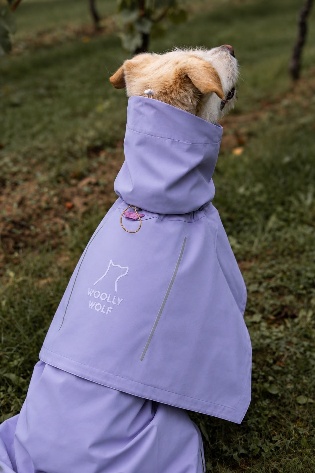 Cloudshell Rain jacket - Lavender