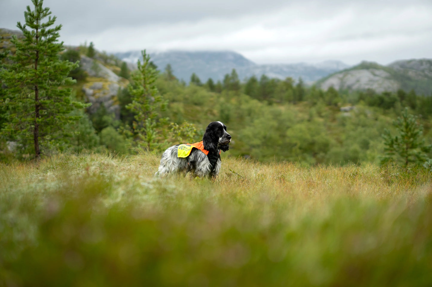 Protector vest 2.0 - refleks- og beskyttelsesvest
