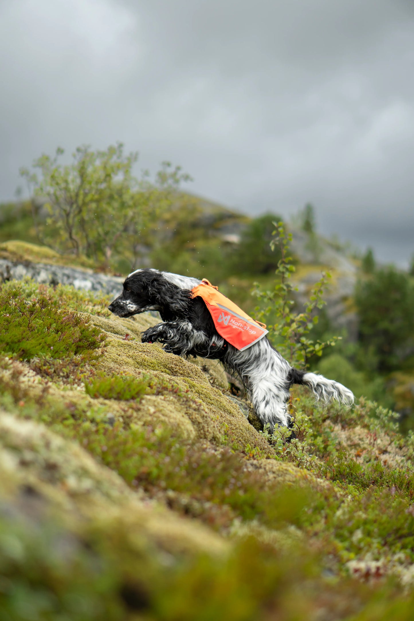 Protector vest 2.0 - refleks- og beskyttelsesvest