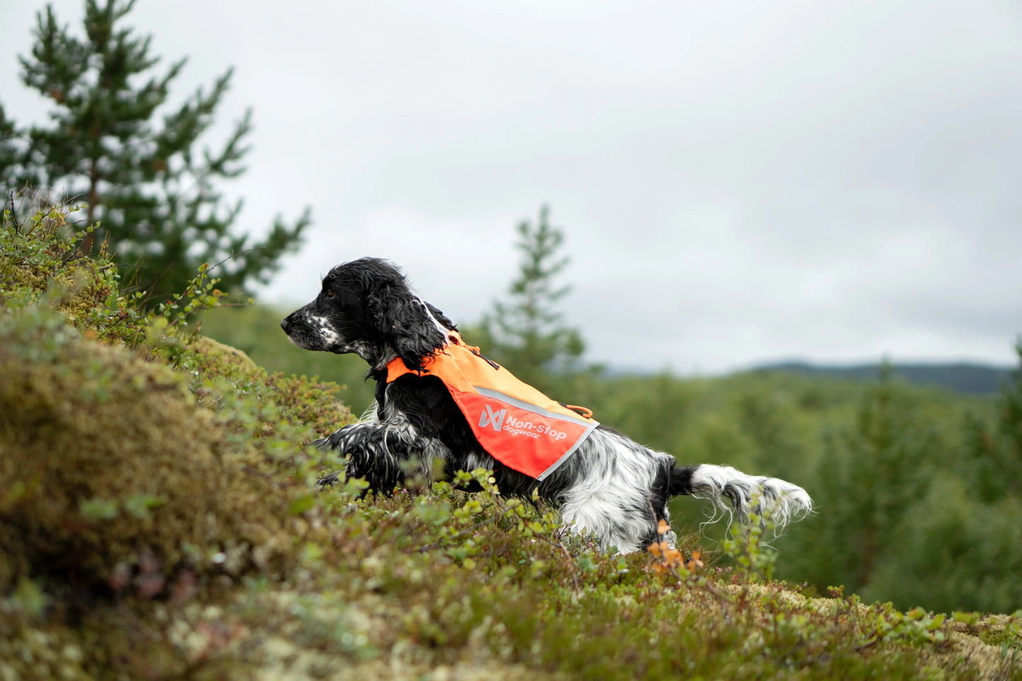 Protector vest 2.0 - refleks- og beskyttelsesvest