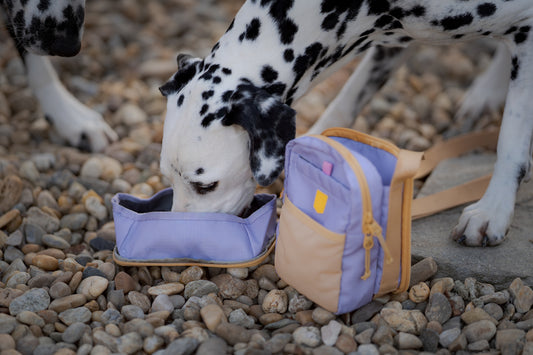 Hydration Shoulder Bag Lavender Mix - Godbidstaske