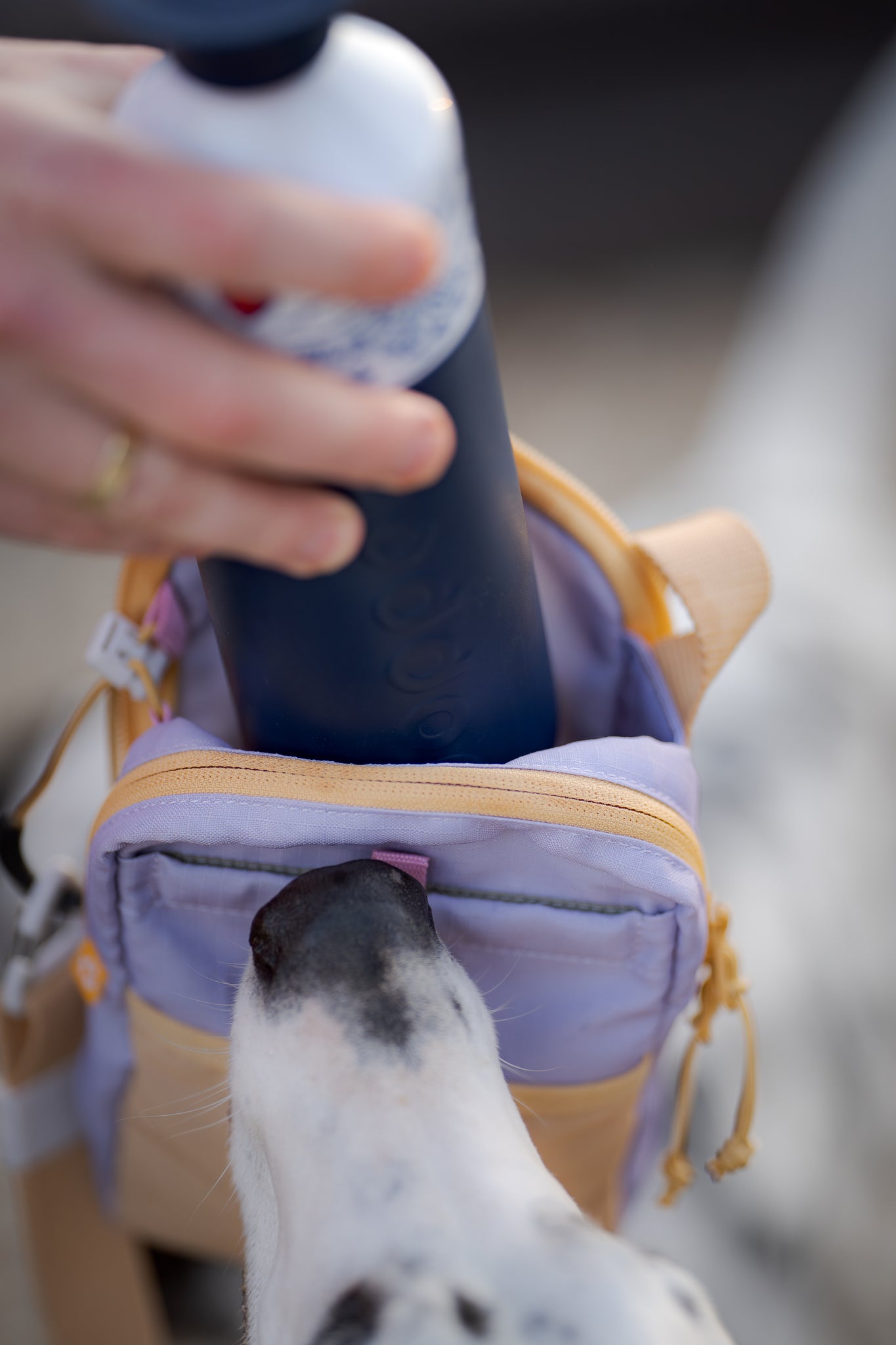 Hydration Shoulder Bag Lavender Mix - Godbidstaske