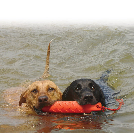 KONG Training Dummy ca. 50 cm