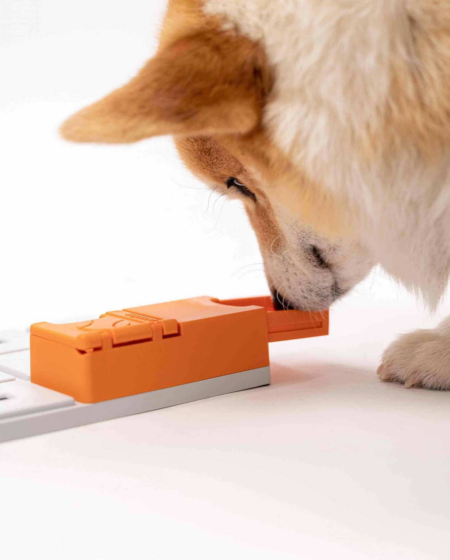 Maya Pawzle - individuel