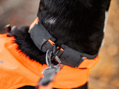Protector collar – Non-stop Dogwear