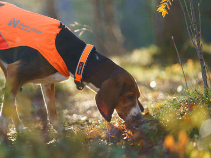 Protector collar – Non-stop Dogwear