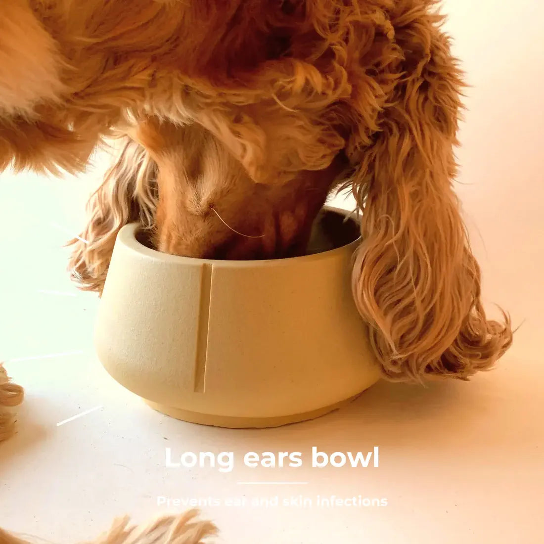 Hundeskål - hunde med lange ører