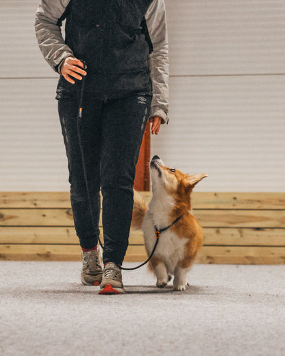Retriever leash - retrieverline m. stop