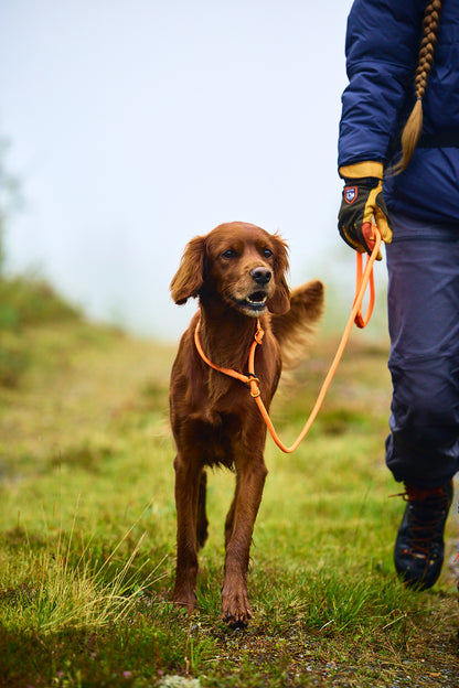 Retriever leash - retrieverline m. stop