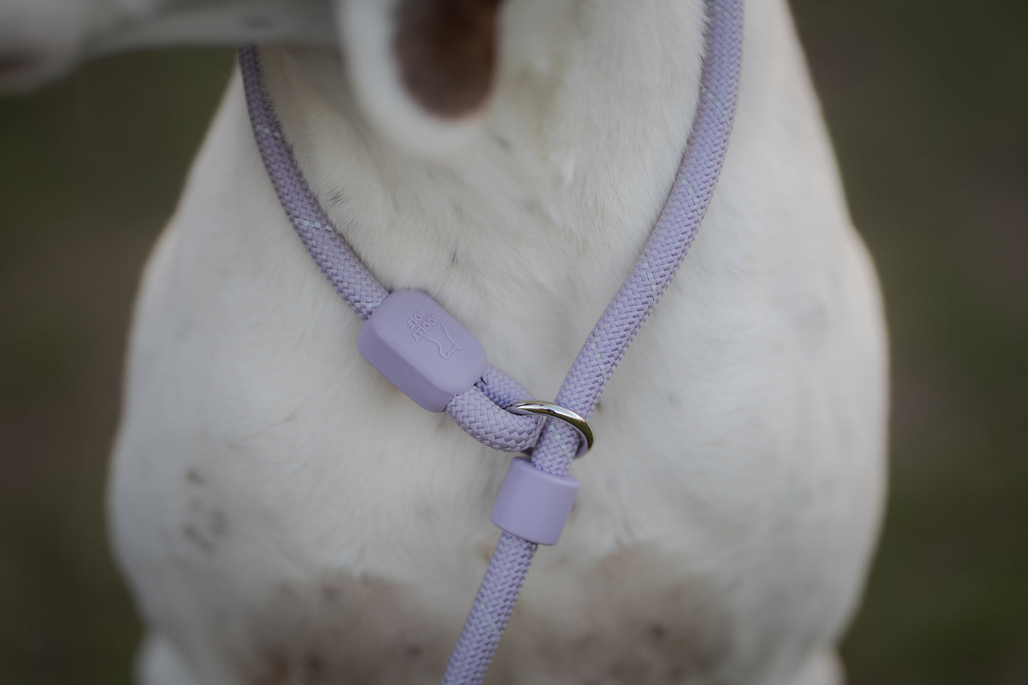Retrieverline i lavender hænger løst rundt om halsen på hunden. Man ser kun halsen af hunden.