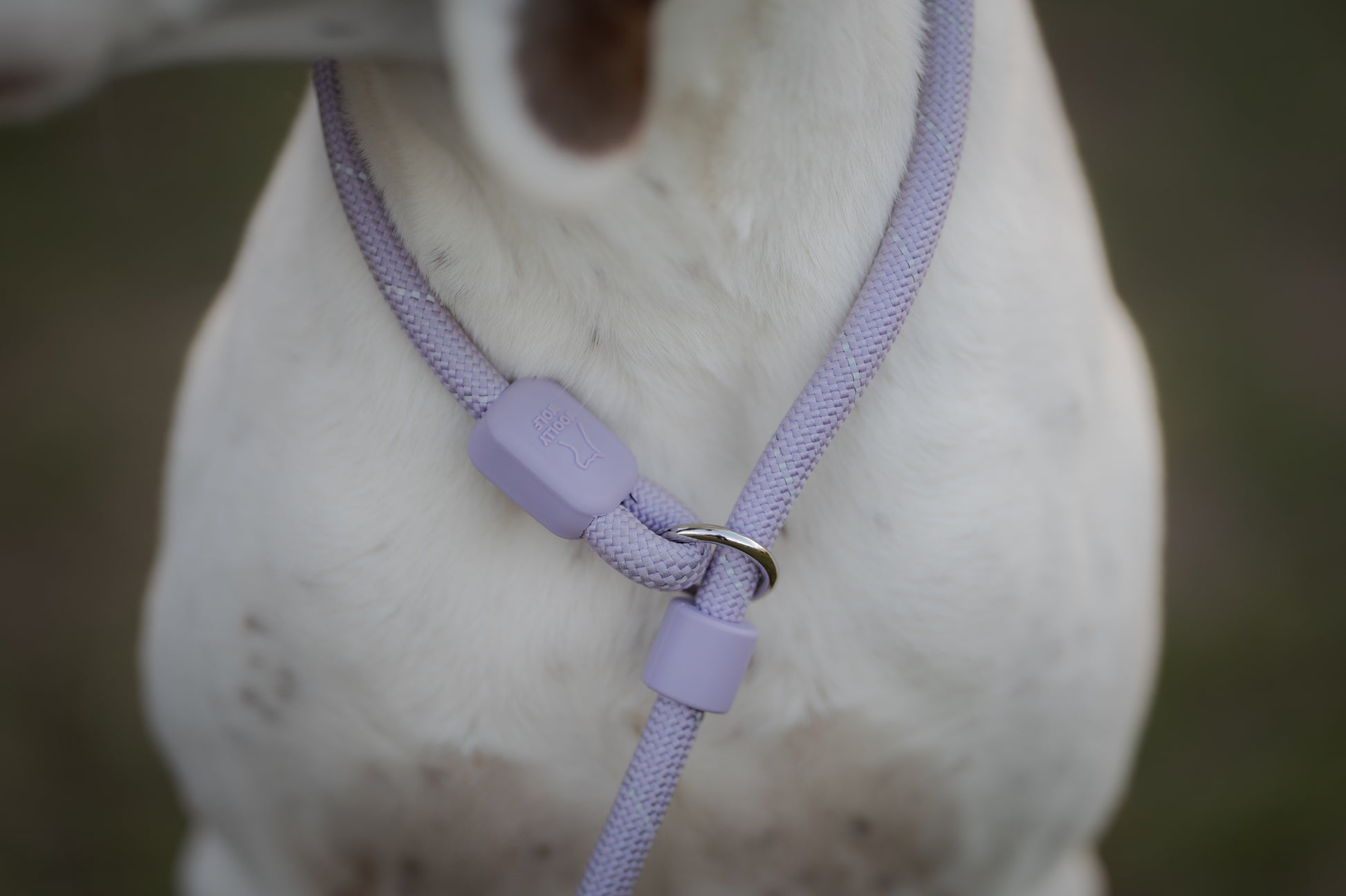 Retrieverline i lavender hænger løst rundt om halsen på hunden. Man ser kun halsen af hunden.