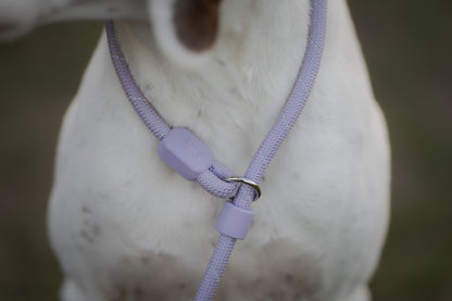 Retrieverline i lavender hænger løst rundt om halsen på hunden. Man ser kun halsen af hunden.