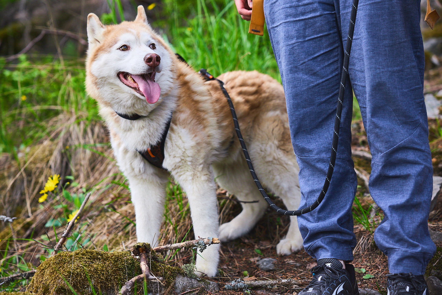 Rock adjustable leash - justerbar hundesnor
