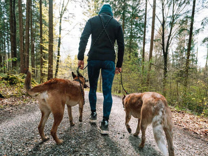 Rock adjustable leash - justerbar hundesnor