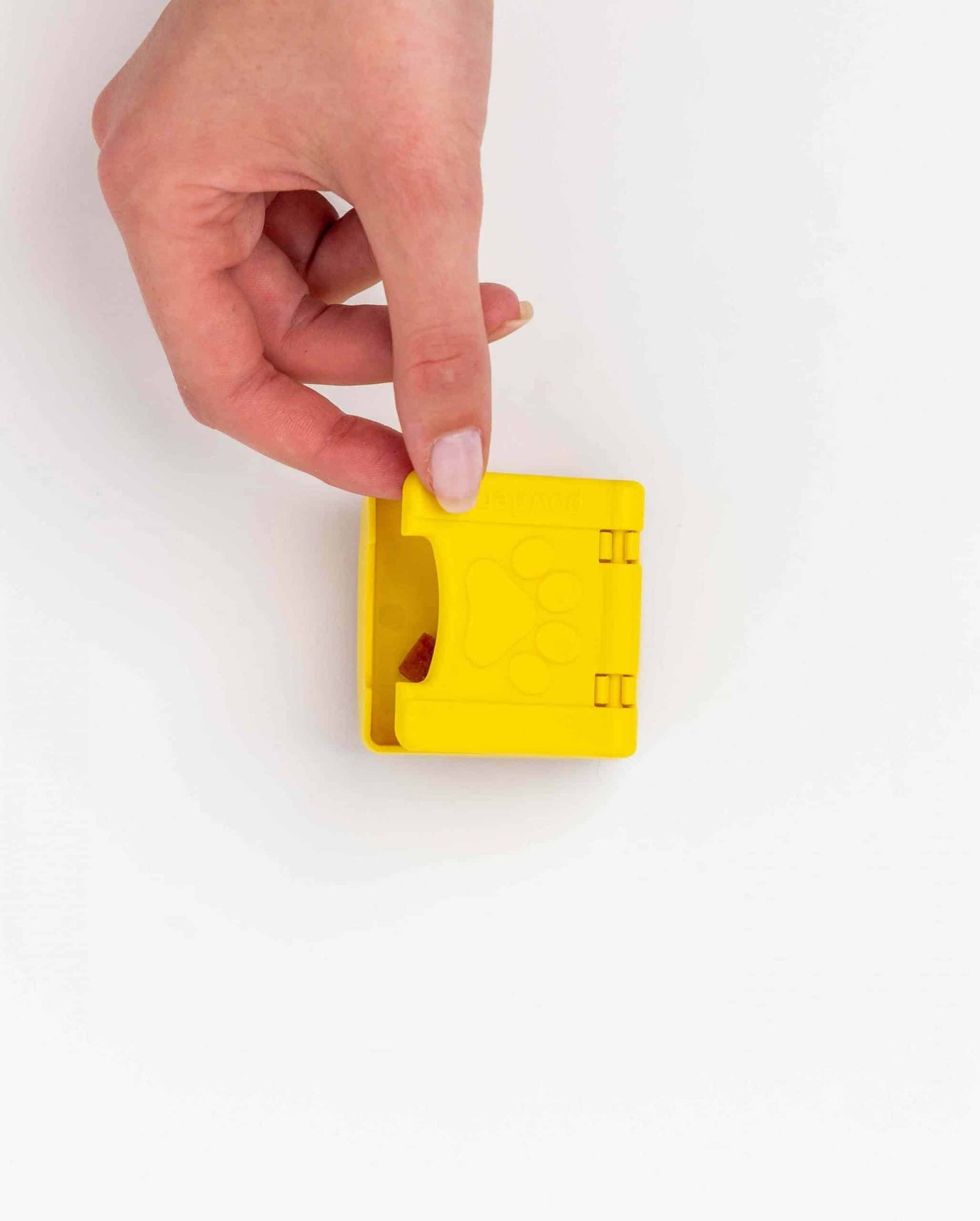 Zoey Pawzle - individuel