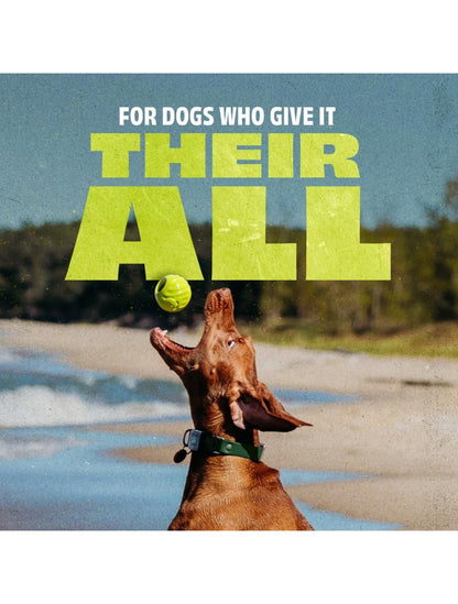 Benebone Bounce Ball - aktiveringslegetøj