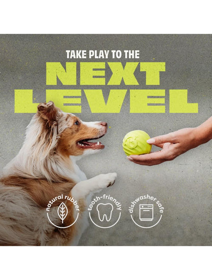 Benebone Bounce Ball - aktiveringslegetøj