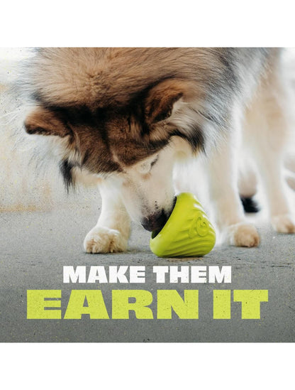 Benebone Bounce Cone - aktiveringslegetøj