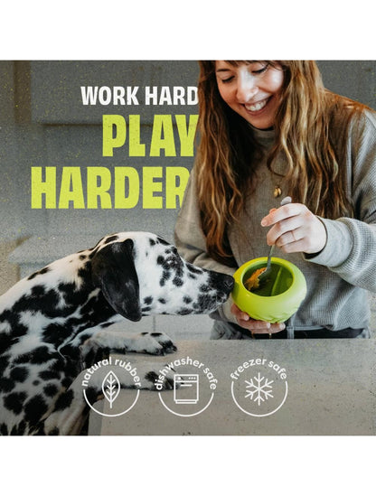 Benebone Bounce Cone - aktiveringslegetøj