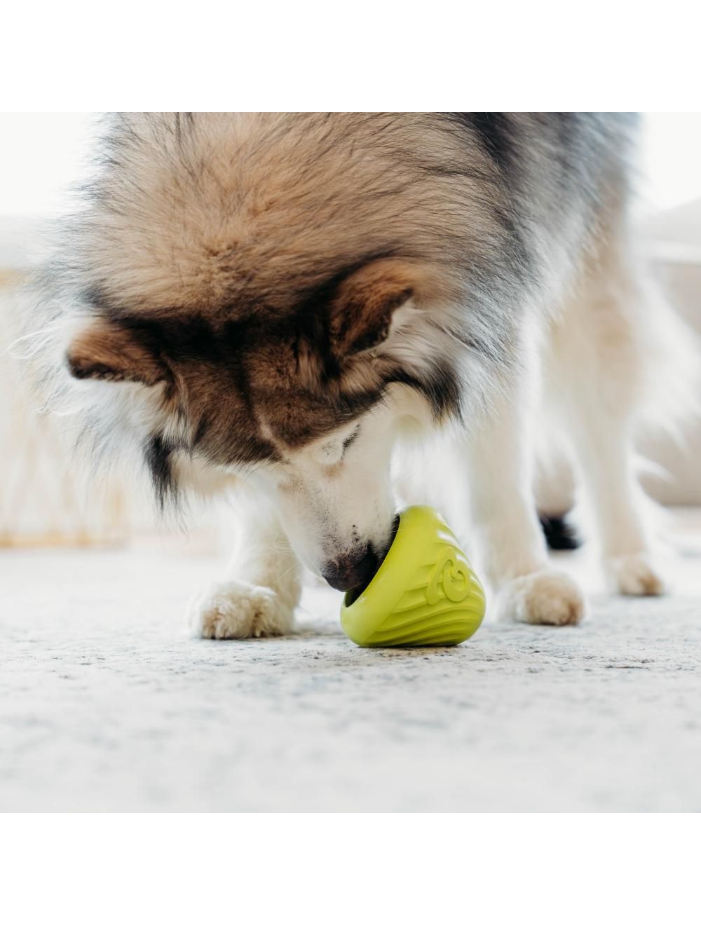 Benebone Bounce Cone - aktiveringslegetøj