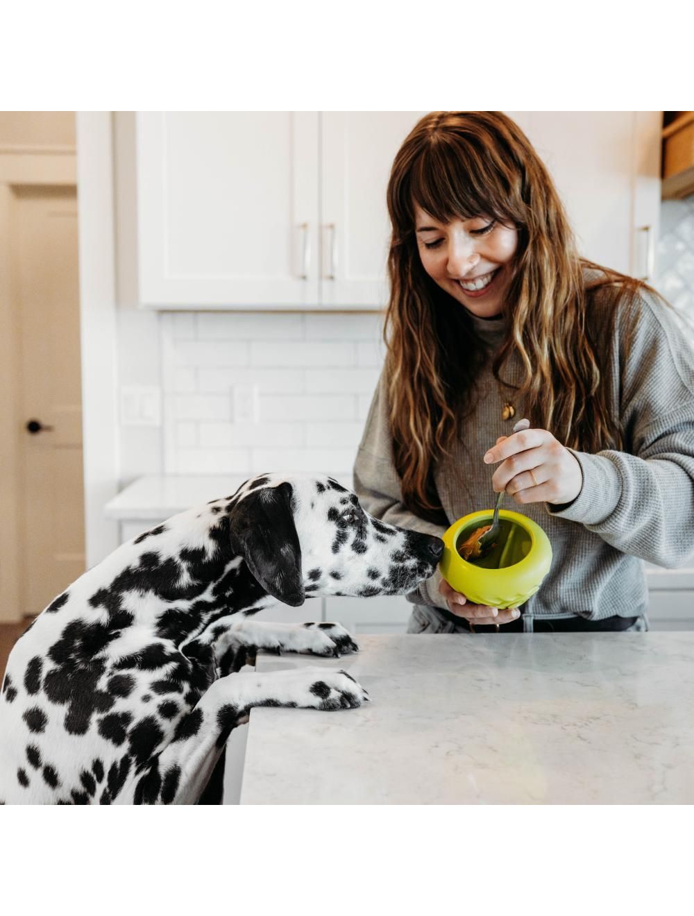 Benebone Bounce Cone - aktiveringslegetøj