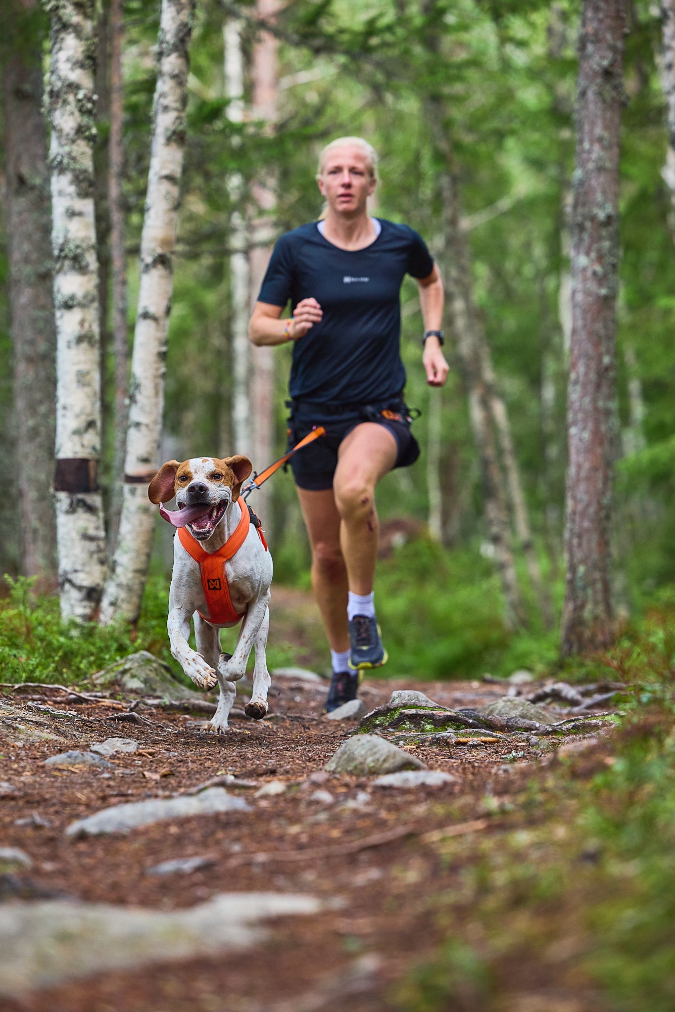 Non-Stop Sele Fremotion 5.0 - løbesele til hund