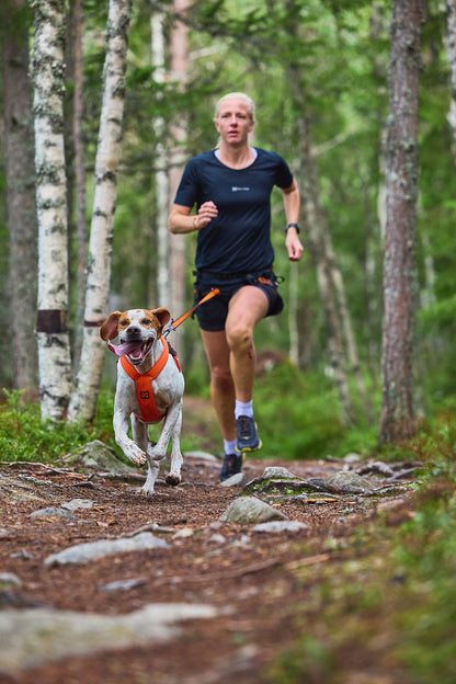 Non-Stop Sele Fremotion 5.0 - løbesele til hund