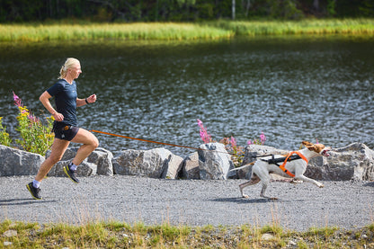 Non-Stop Sele Fremotion 5.0 - løbesele til hund
