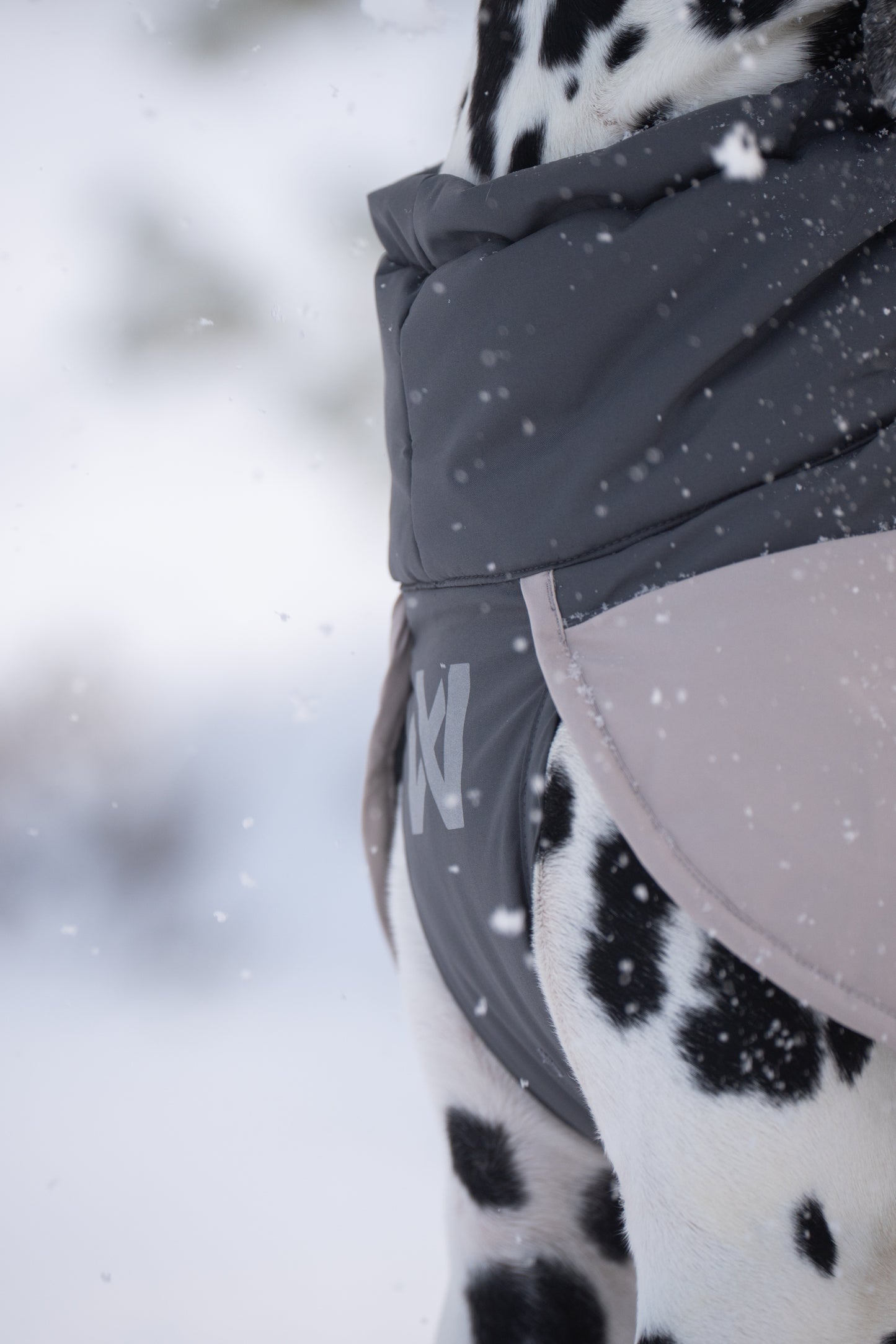 Glacier Wool Jacket 3.0 –  vinterjakke til aktive hunde