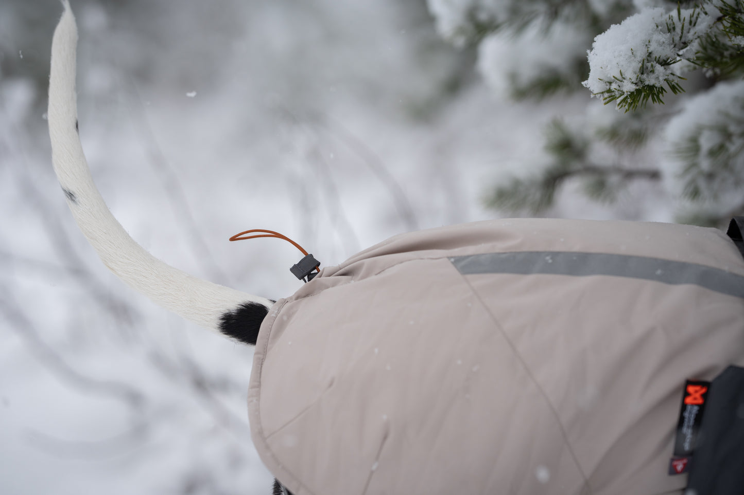 Glacier Wool Jacket 3.0 –  vinterjakke til aktive hunde