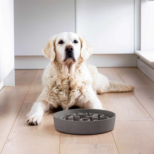 BAMBOO Slow Feeder – Grå