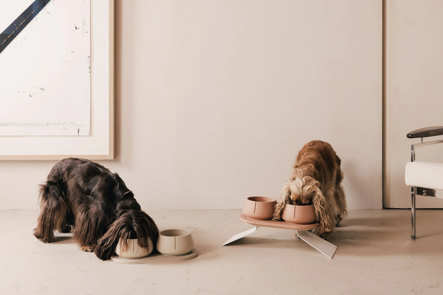 Hund med lange ører spiser af Long Ears Bowl fra Pino – holder ørene tørre under måltidet
