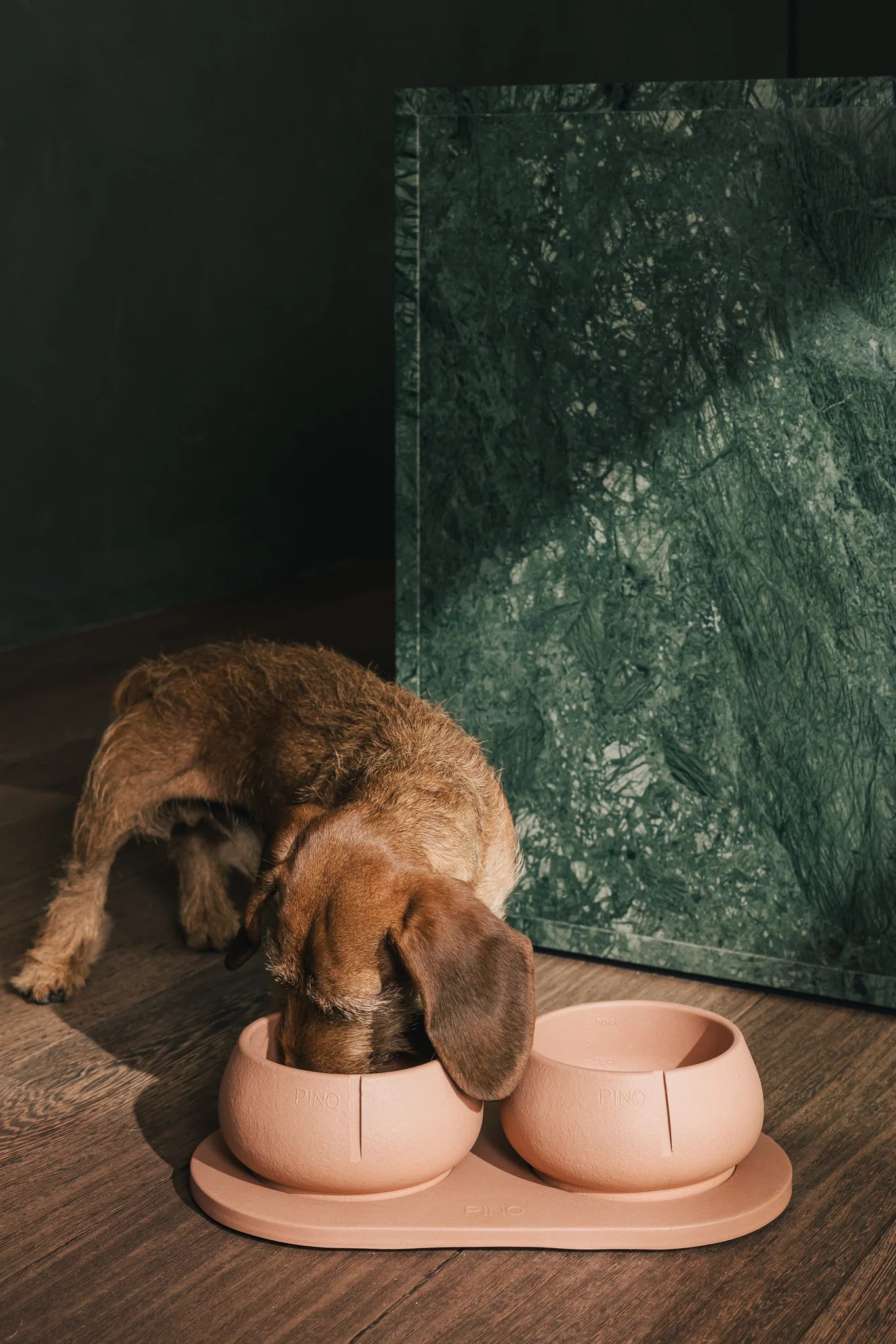 Dobbelt hundeskål Long Ears Bowl fra Pino i terracotta – perfekt til mad og vand