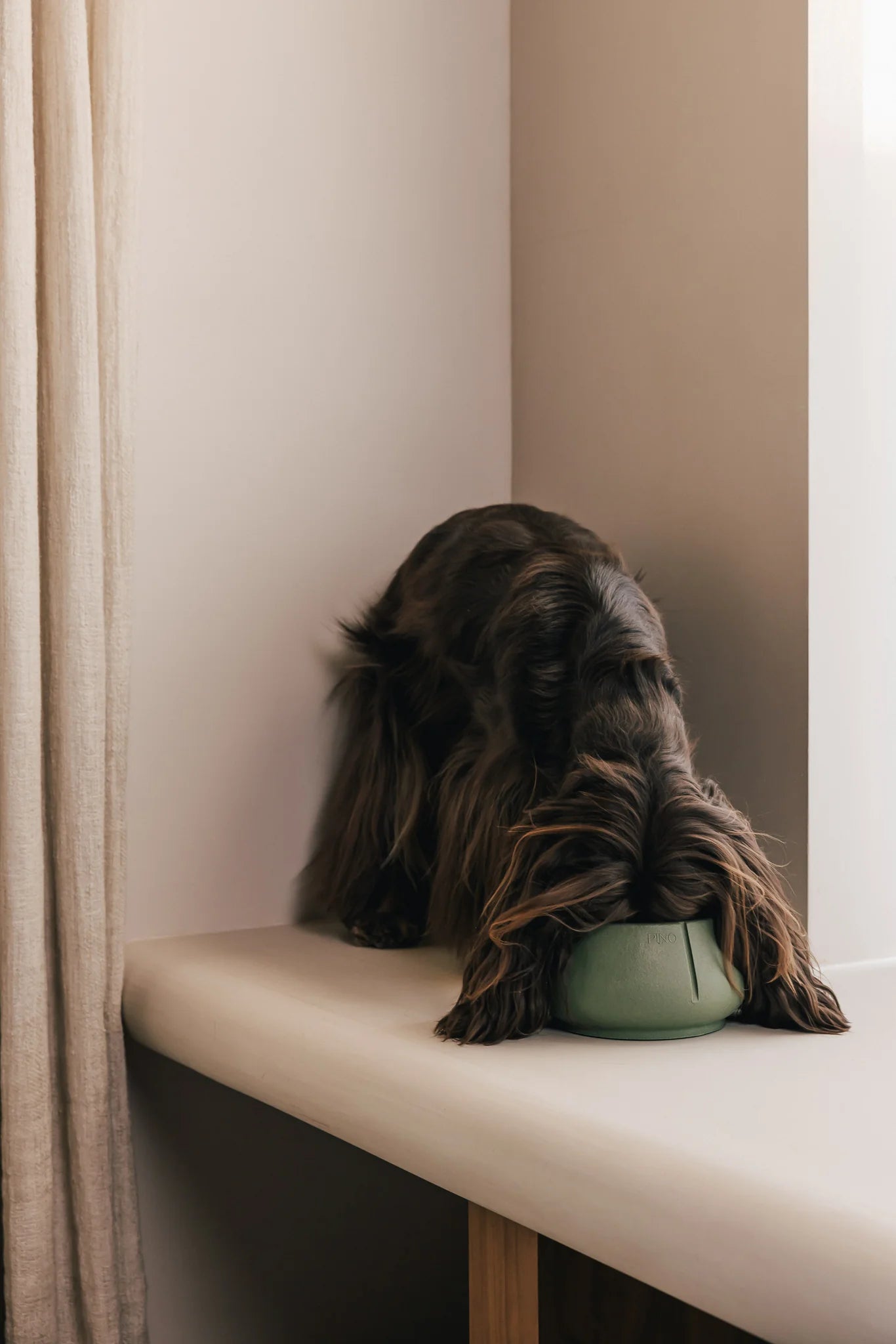 Hund spiser af grøn Long Ears Bowl fra Pino – skål til hunde med lange ører