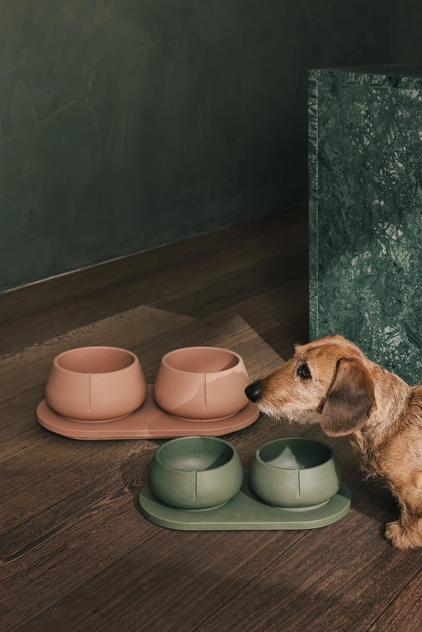 Hund ved Pino Long Ears Bowl hundeskåle i terracotta og grøn – skåle til hunde med lange ører