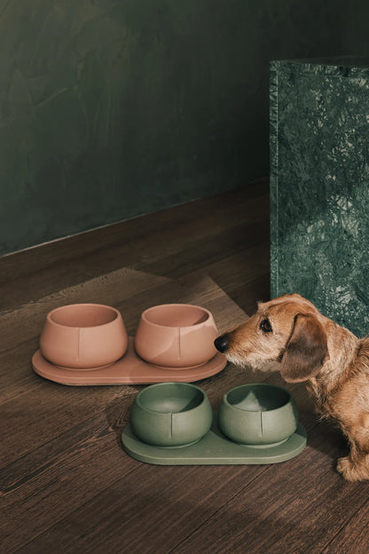 Hund ved Pino Long Ears Bowl hundeskåle i terracotta og grøn – skåle til hunde med lange ører