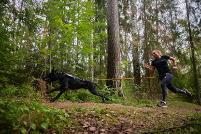 Bungee Leash - hundesnor af elastik