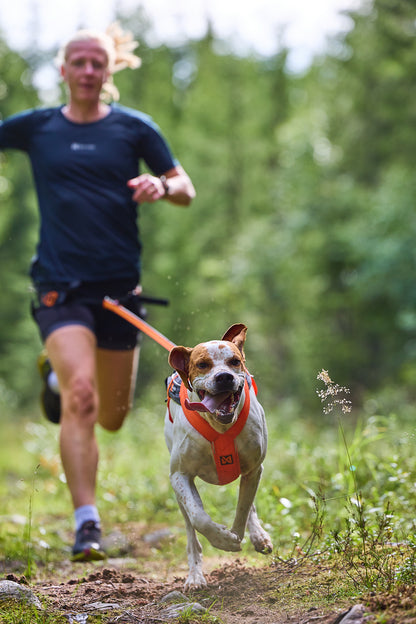 Non-Stop Sele Fremotion 5.0 - løbesele til hund