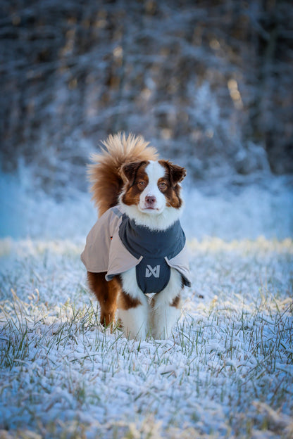Glacier Wool Jacket 3.0 –  vinterdækken til aktive hunde