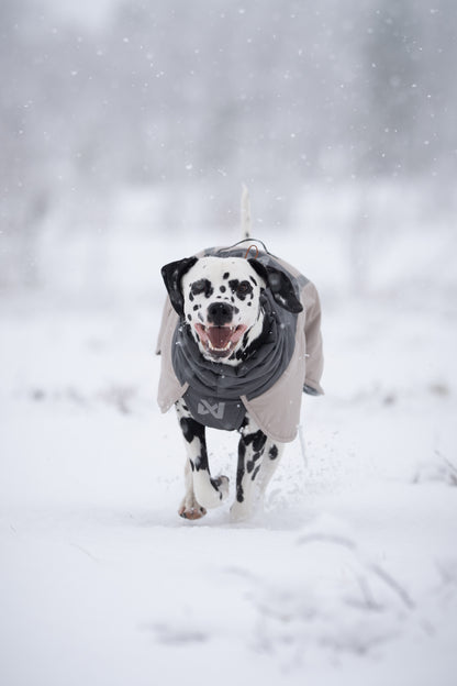 Glacier Wool Jacket 3.0 –  vinterdækken til aktive hunde