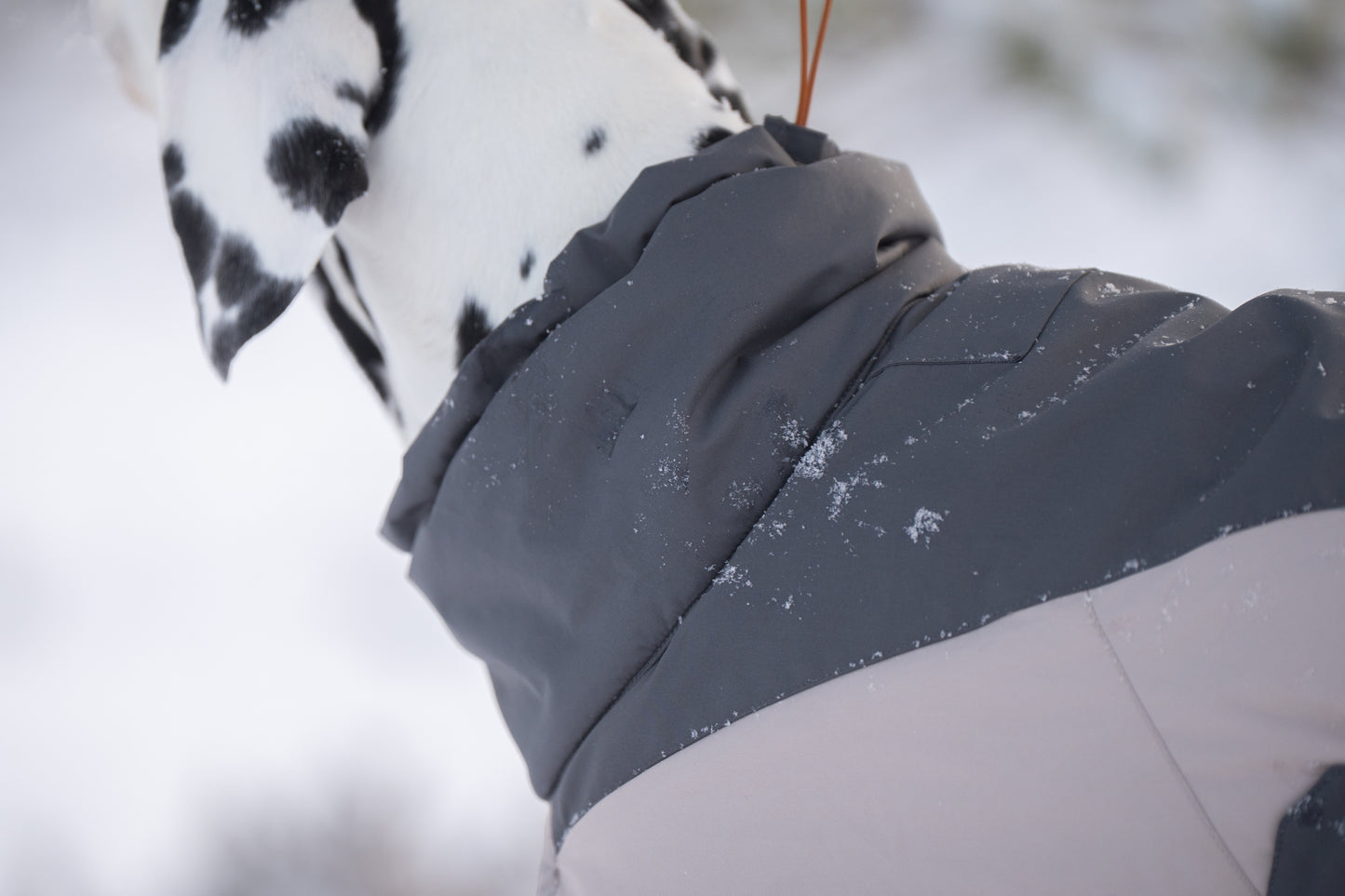Glacier Wool Jacket 3.0 –  vinterdækken til aktive hunde