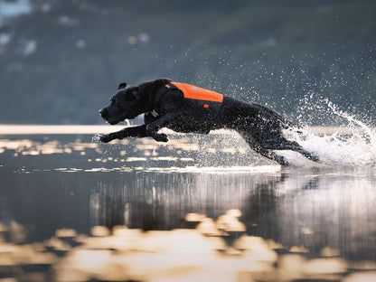 Protector neoprene vest -  Non-stop Dogwear
