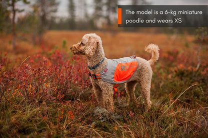 Reflection blanket - refleksvest til hunde